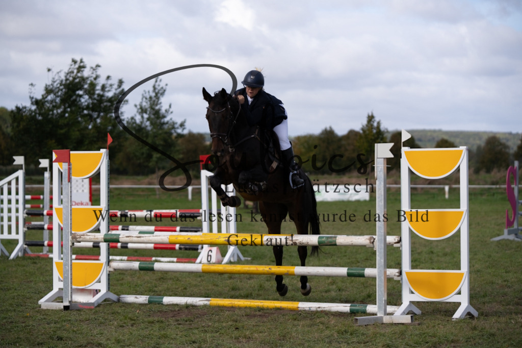 A7V06662 | Pferdefotograf