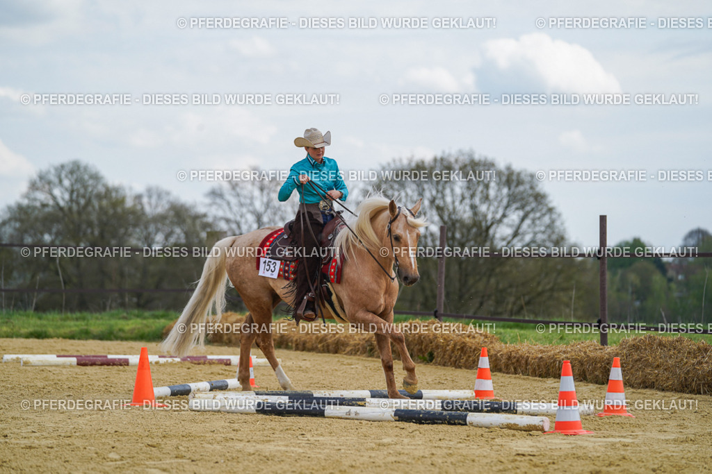 DSC05384 | Pferdegrafie