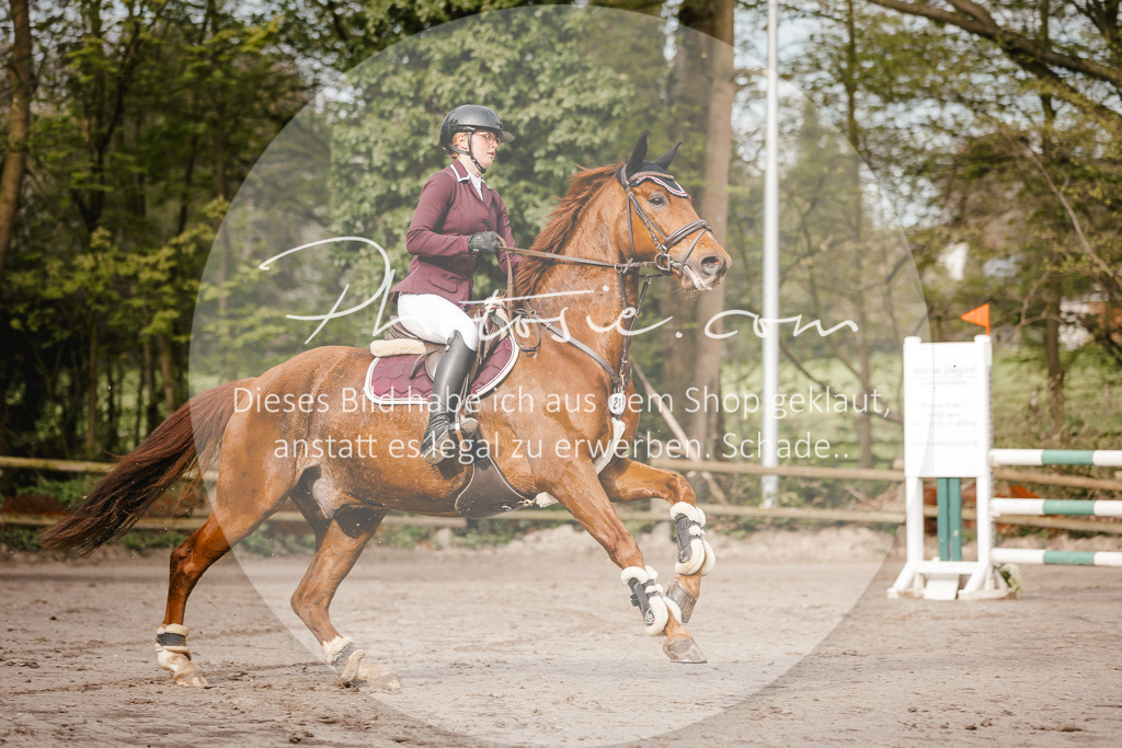 3I6A3223 | Stimmungsvolle Portraits und Reitsportfotografie im Ruhrgebiet und im Münsterland.

Pferdefotografie, Hundefotografie, Tierfotografie, Reportagen, Portraits von Tier und Mensch, Turnierfotografie in Bochum, Recklinghausen, Marl, Haltern am See, Dülmen.. - Realisiert mit Pictrs.com