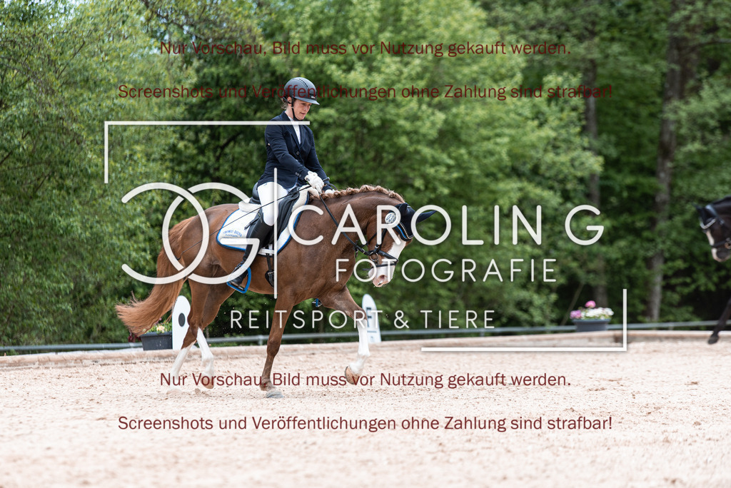 DSC_6746 | Turnierfotografin Carolin Gieschke,Reitsport Turnierfotografie Carolin G Fotografie | Turnierfotos aus Kirchheim/Teck, Esslingen, Stuttgart und dem Bodenseekreis