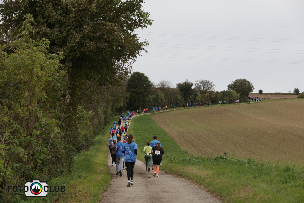 03_Winzerweg (106) | Foto Buchgraber