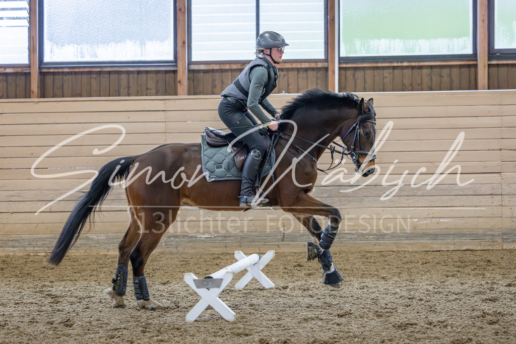 20260222-_3LI1473 | Tierfotografie Pferde, Hunde, Katzen, Haustiere.
Turnierfotografie Reitturniere, Reiten, Springreiten, Dressur in Hanau, dem Main-Kinzig-Kreis und dem Rhein-Main- Gebiet um Frankfurt