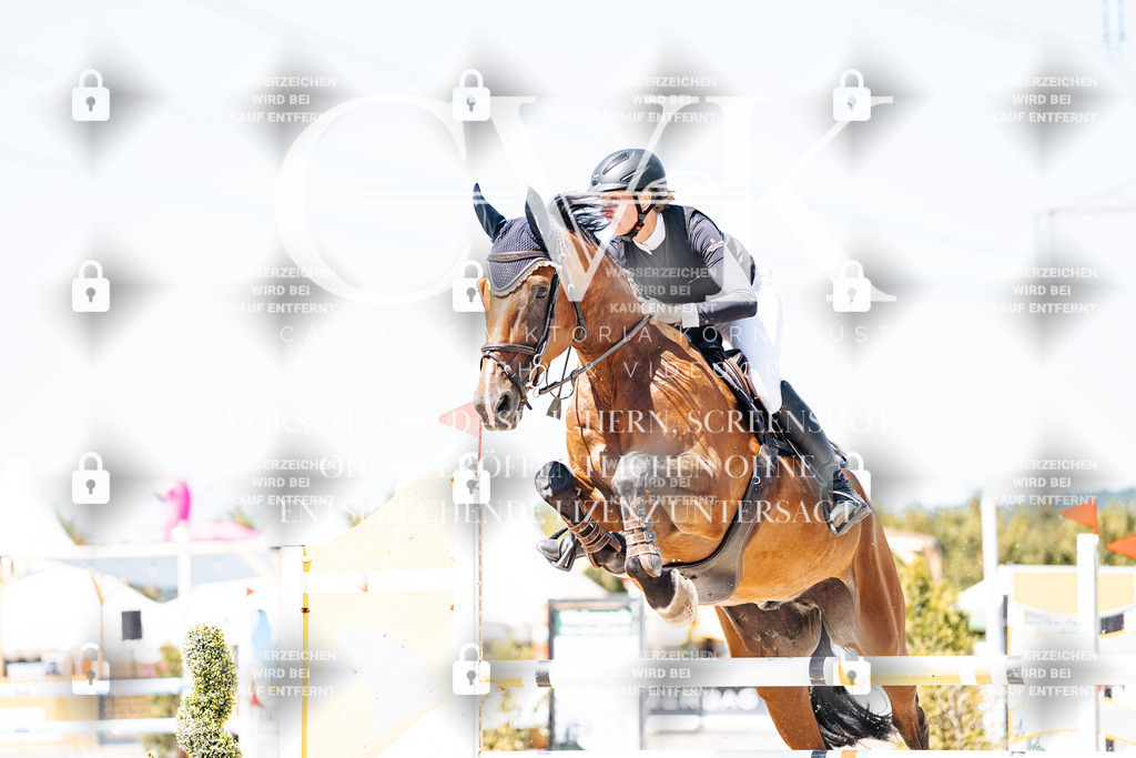 CK909958 | Turnierfotografie Pferdefotografie Trier Rheinland-Pfalz Pferdesport Reitsport Tierfotografie Sportfotografie Pferdevideo Pferdevideografie Equestrianvideography equestrianphotography  - Realisiert mit Pictrs.com