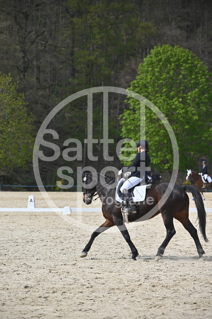 DSC_4268 | sattelsport - Realisiert mit Pictrs.com