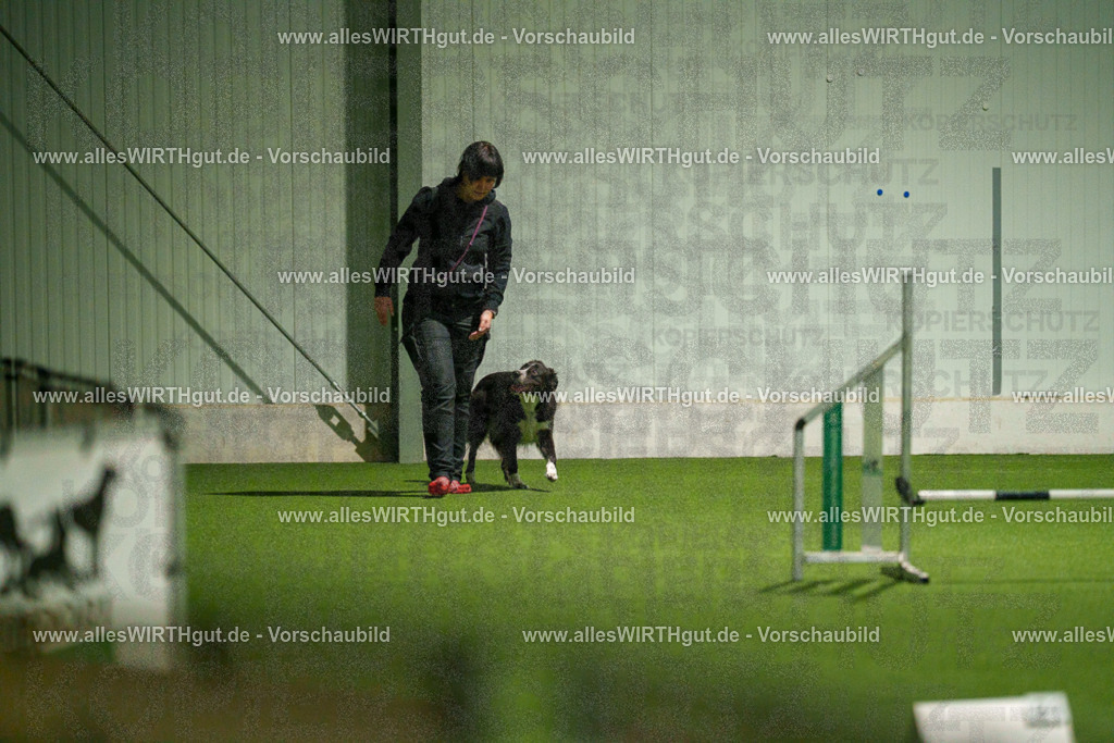 7R507312 | Professionelle Tierfotografie in Mönchengladbach von Daniel Wirth (allesWIRTHgut). Liebevolle & natürliche Bilder von Hunden & Katzen für unvergessliche Erinnerungen.