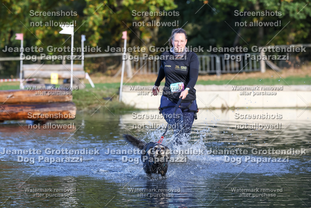 Dog Paparazzi - Strongdog 10-25-8607 | Dog Paparazzi Jeanette Grottendiek Fotografie & Videografie - Realisiert mit Pictrs.com