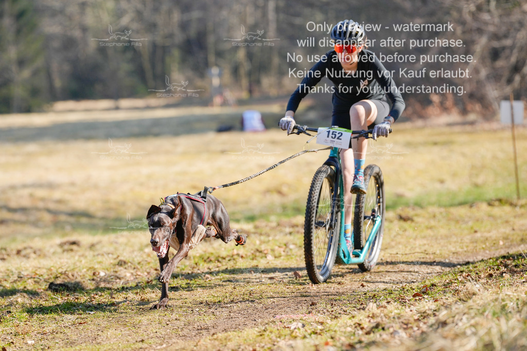 Scooter_So-5 | stephaniefillaphotographie - Realisiert mit Pictrs.com