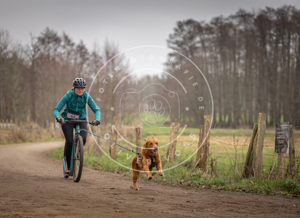 Pfotenfotografie_DV3A3262 | Hundefotografie, Tierfotograf, Pfotenfotografie, Fotoshooting Hund, Hunde Portrait, Hundesport, Hundeportraits, Heideshooting, Hunde, Sportfotograf, Hundefotograf, Turnierhundsport, THS,  - Realisiert mit Pictrs.com