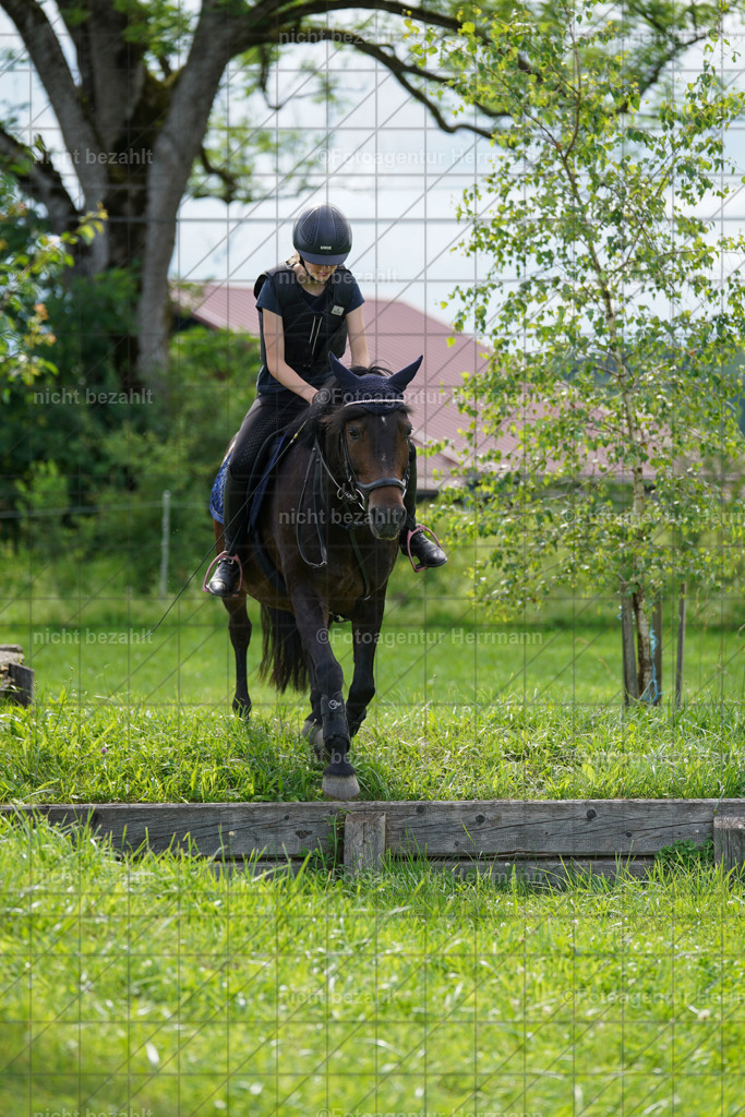 20240622-FAH08001 | Turnierfotografen Bayern, Reitsportbilder aus dem Geländekurs mit Felix Etzel auf dem Gut Waitzacker 2024