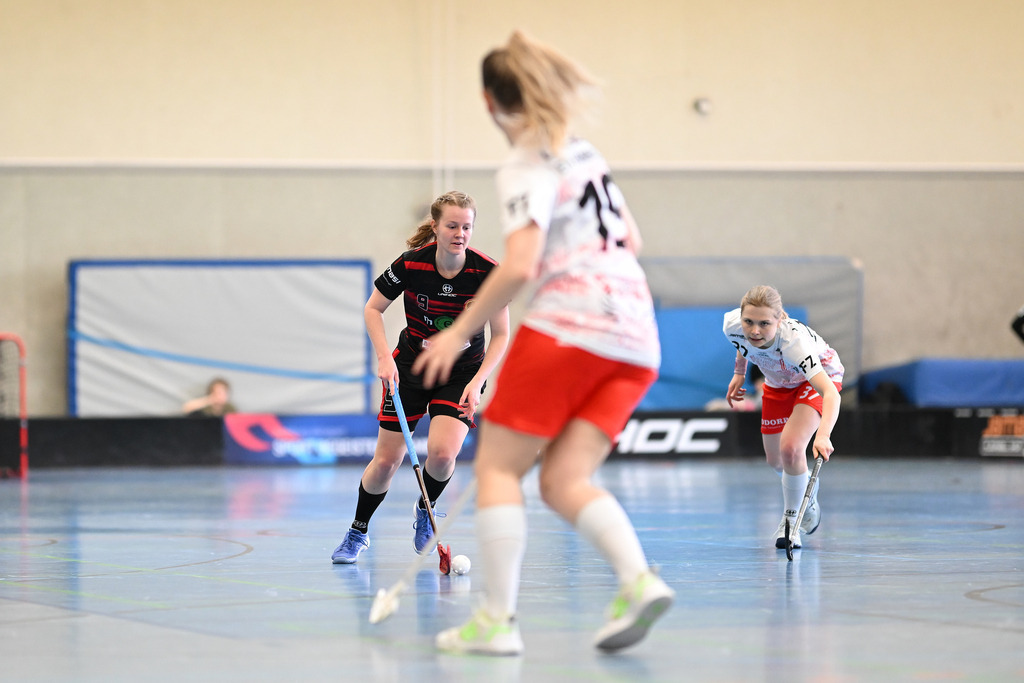 Floorball I Frauen I Saison 2023-2024 I 1. Frauen Floorball-Bundesliga I Playoffs 3. Spieltag I ETV Lady Piranhhas Hamburg - Dümptener Füchse | Der Sportfotograf. - Realisiert mit Pictrs.com