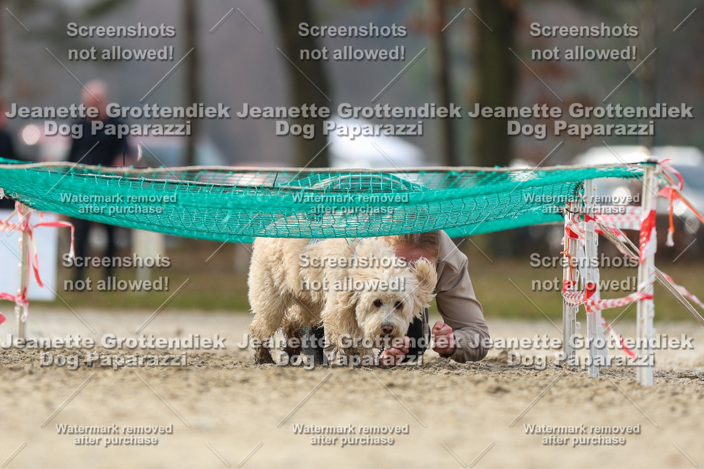 Dog Paparazzi - Strongdog North Mrz26-4832 | Dog Paparazzi Jeanette Grottendiek Fotografie & Videografie - Realisiert mit Pictrs.com