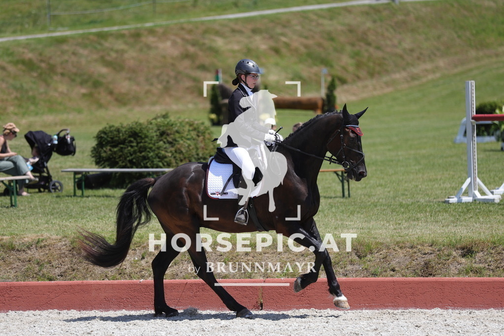 0P6A1369 | Willkommen bei Brunnmayr - Design & Fotografie – Ihrem Spezialisten für Reitturniere und Pferdeveranstaltungen in Oberösterreich, Salzburg und Bayern! Seit über 17 Jahren sind wir leidenschaftlich dabei.