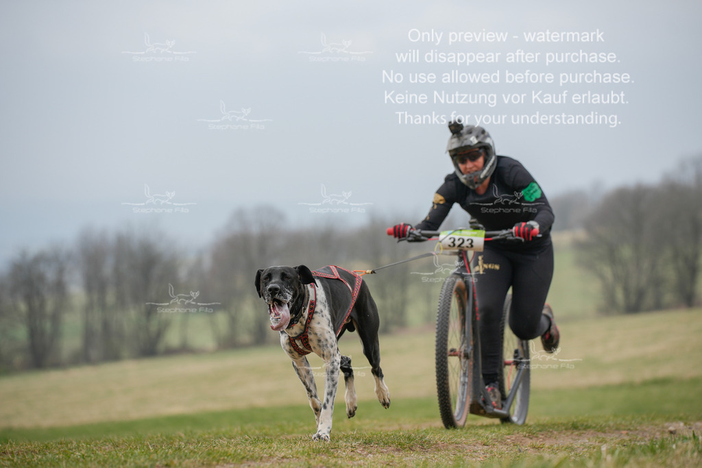 ScooterSA-122 | stephaniefillaphotographie - Realisiert mit Pictrs.com