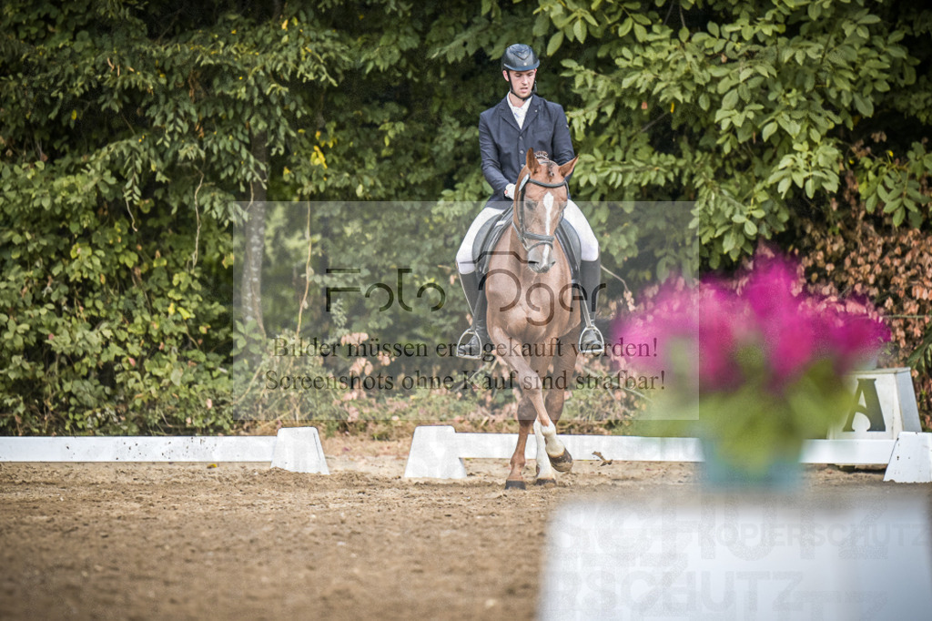 DOS_0404 | Entdecke hochwertige Reitturnierfotos von Foto Oger. Professionell, emotional und authentisch – jetzt Lieblingsmomente im Shop bestellen.Deutschlandweite Turnierfotografie. - Realisiert mit Pictrs.com