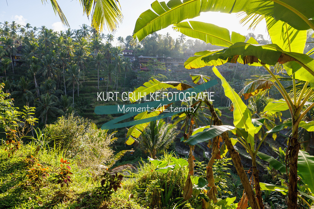 230720-1345 - Kopie | onlinegalerie und Fotoshop Kurt Gruhlke Fotograf Berlin
Hochzeitsfotograf Eventfotograf Portraitfotografie
 - Realisiert mit Pictrs.com