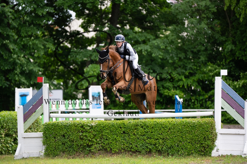 A7V05126 | Pferdefotograf