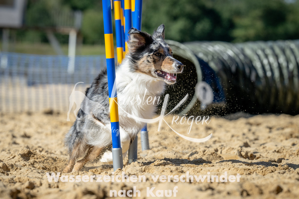 1315_ZZ90040 | kk-dogfotos