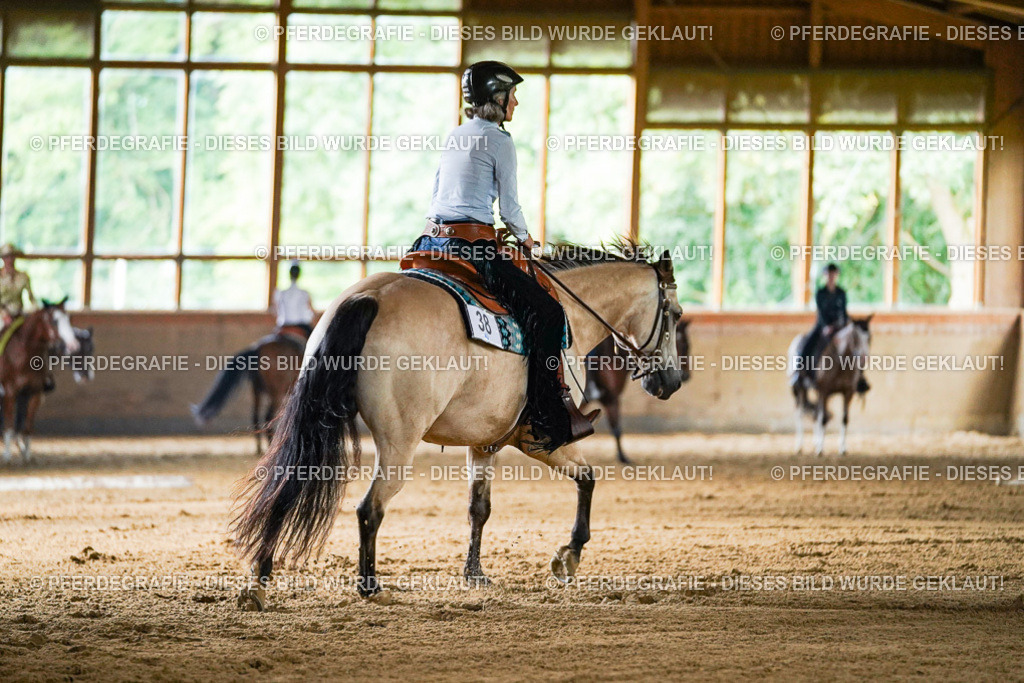 DSC05361 | Pferdegrafie