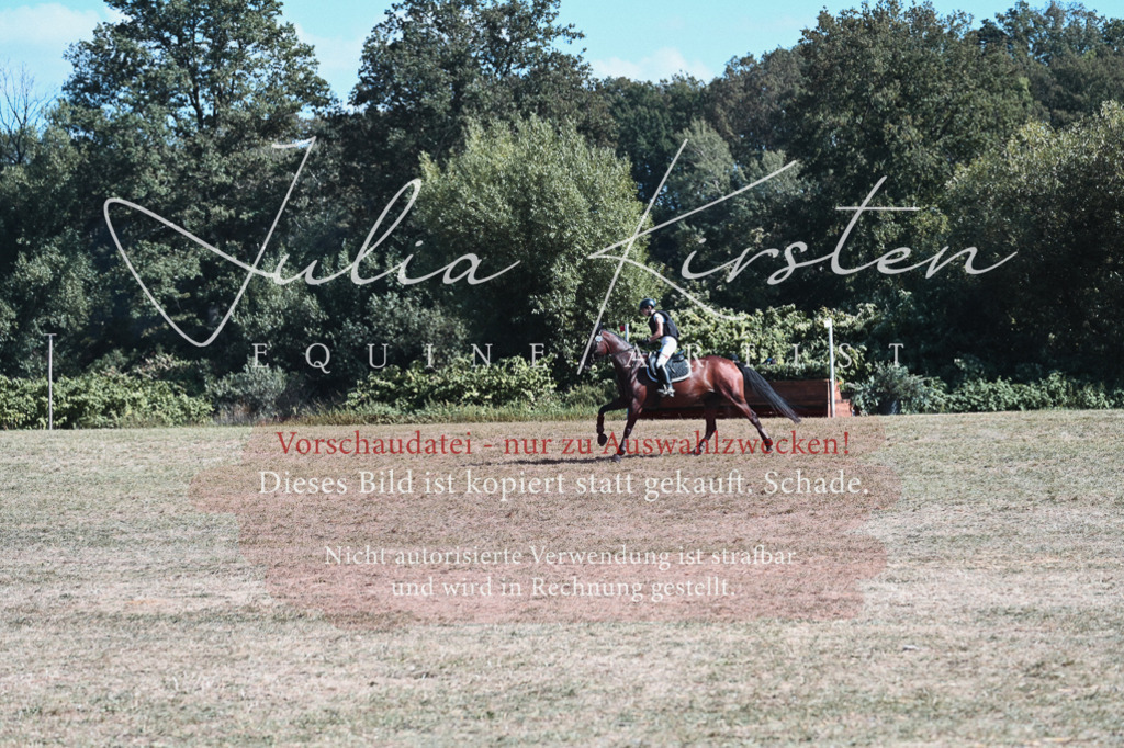 DSC_8523 | Pferde- und Turnierfotografie in Westsachsen. Pferdeportraits, Auftragszeichnungen und intuitive Kunst.