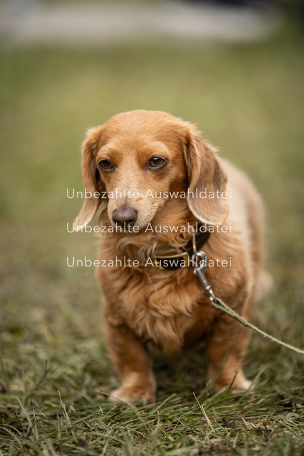 Bad_Meinberg_01045 | saradresslerfotografie - Realisiert mit Pictrs.com
