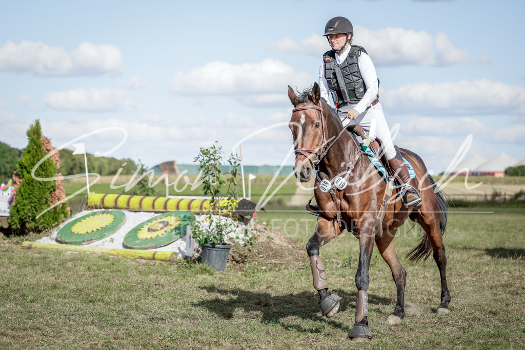 20250906-_3LI7249 | Tierfotografie Pferde, Hunde, Katzen, Haustiere.
Turnierfotografie Reitturniere, Reiten, Springreiten, Dressur in Hanau, dem Main-Kinzig-Kreis und dem Rhein-Main- Gebiet um Frankfurt