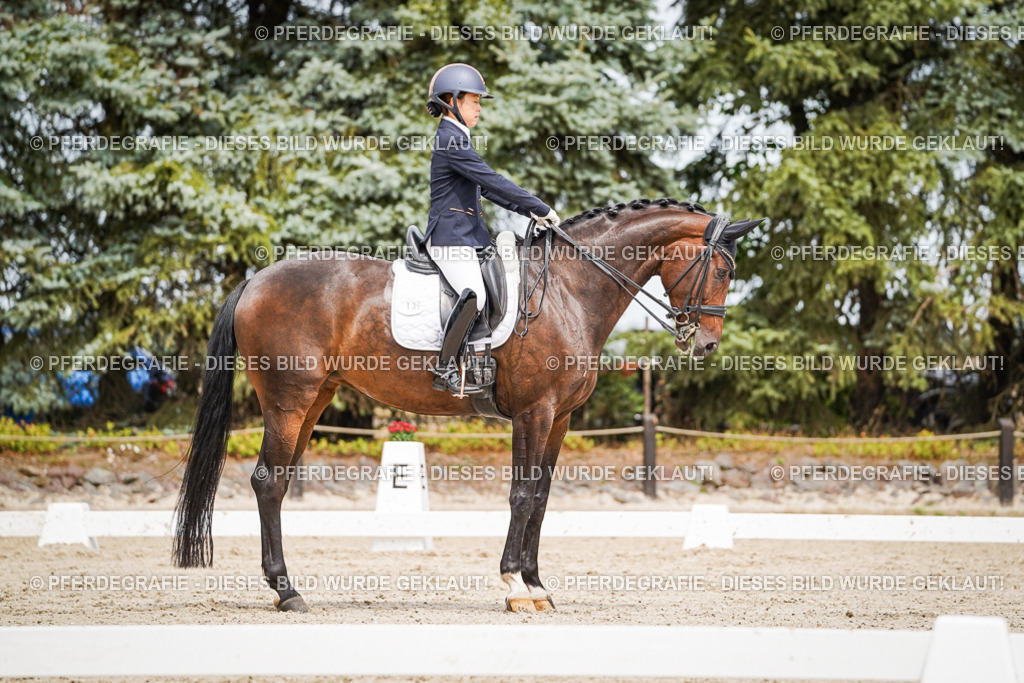 DSC05543 | Pferdegrafie