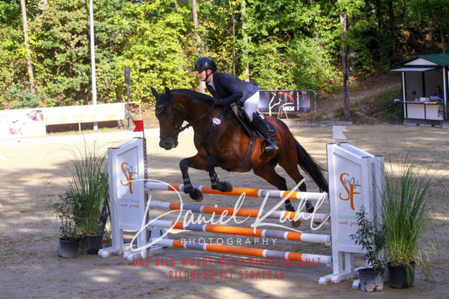 DKP42442 | Deine Turnierfotos vom Reitturnier online kaufen: Dressur, Springen & Siegerehrung. Professionelle Pferdefotografie aus dem Rheinland – als Download & Print.Alternative: Turnierfotograf für den Pferdesport: Finde deine Fotos von Dressur- und Springturnier