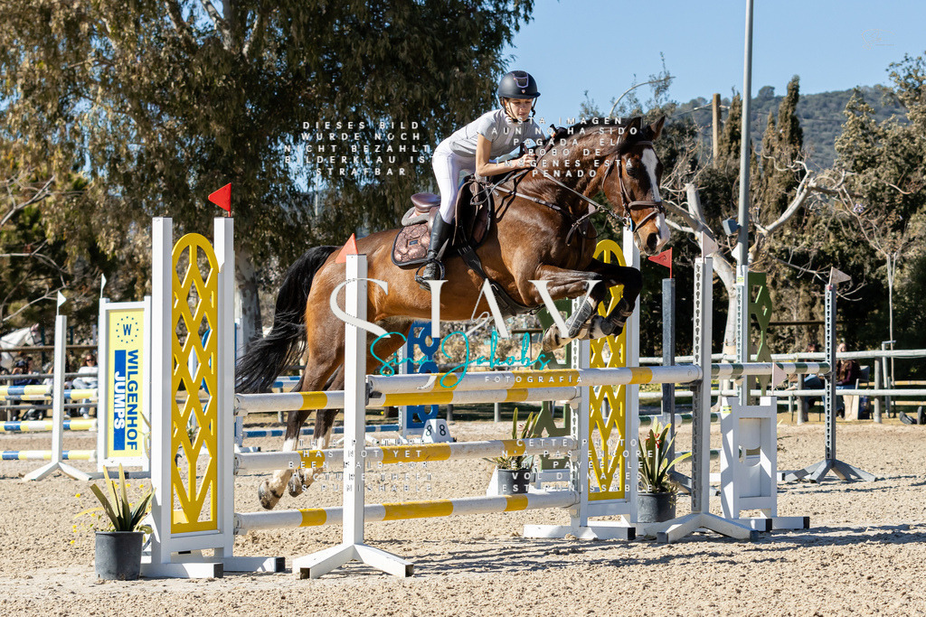 IMG_1014 | s-jay-photography - Realisiert mit Pictrs.com