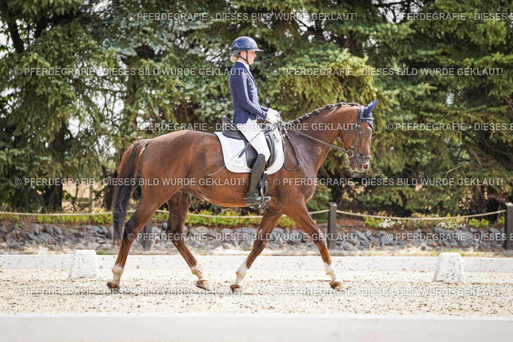 DSC09359 | Pferdegrafie