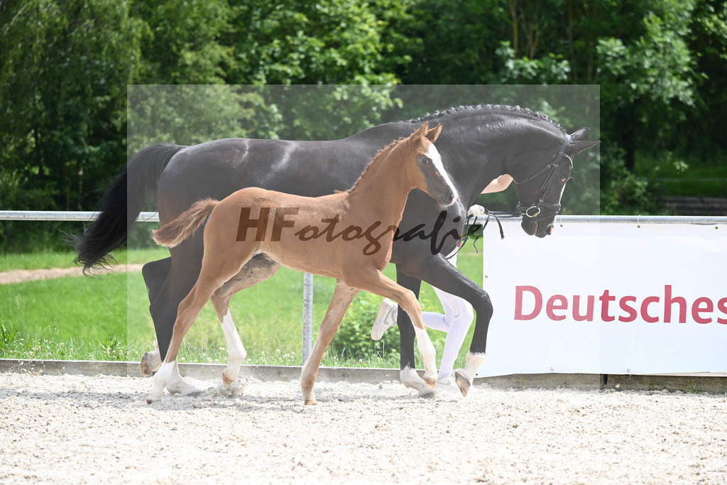 Va Bene x Fuersten Look_HF_Mueller_20240568 | hf-fotografie - Realisiert mit Pictrs.com