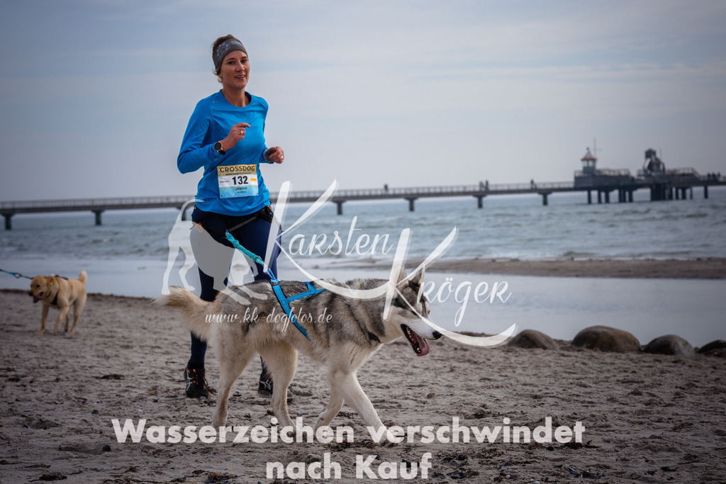 1056_ZZ96654 | kk-dogfotos