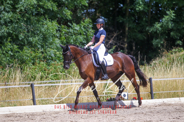 DKP46610 | Turniersportfotografie; Pferdefotografie; Dressurfotografie