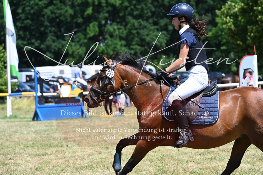 DSC_0817 | Pferde- und Turnierfotografie in Westsachsen. Pferdeportraits, Auftragszeichnungen und intuitive Kunst.