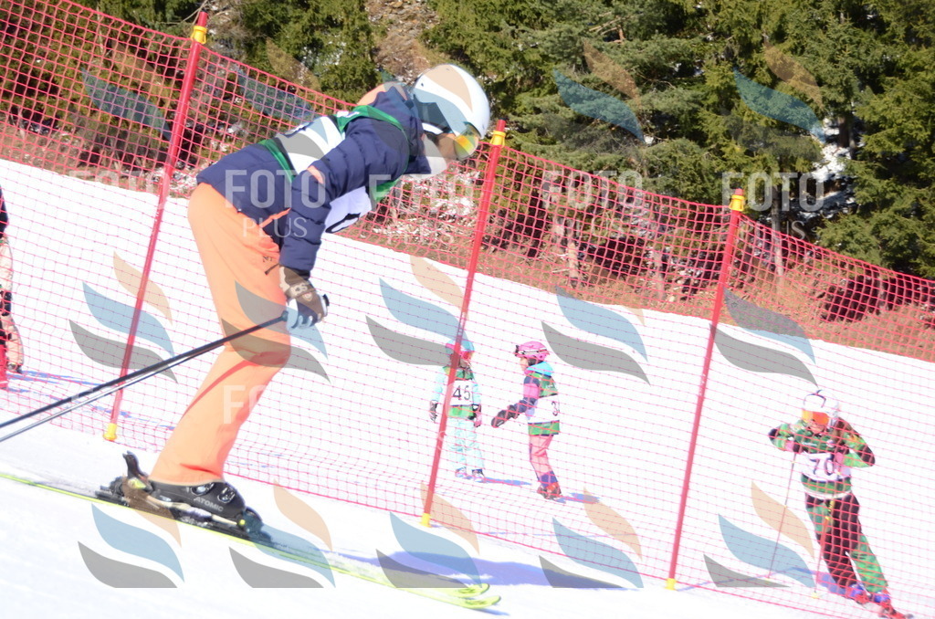 C4484 | holidayphoto