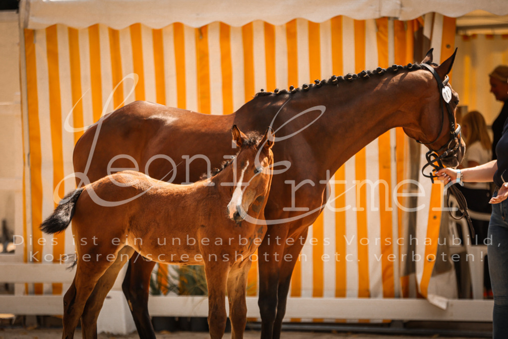 07.DoWBS00105 | Leoni Ertmer Photography - Realisiert mit Pictrs.com