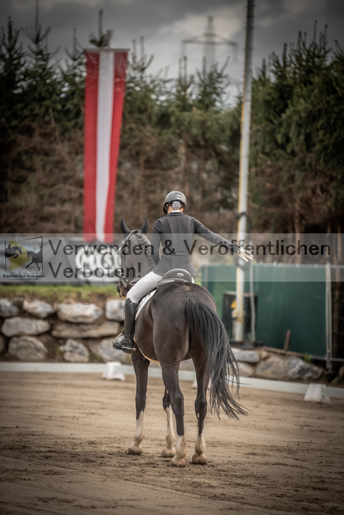 DSC_8241 | equestrian-live-com