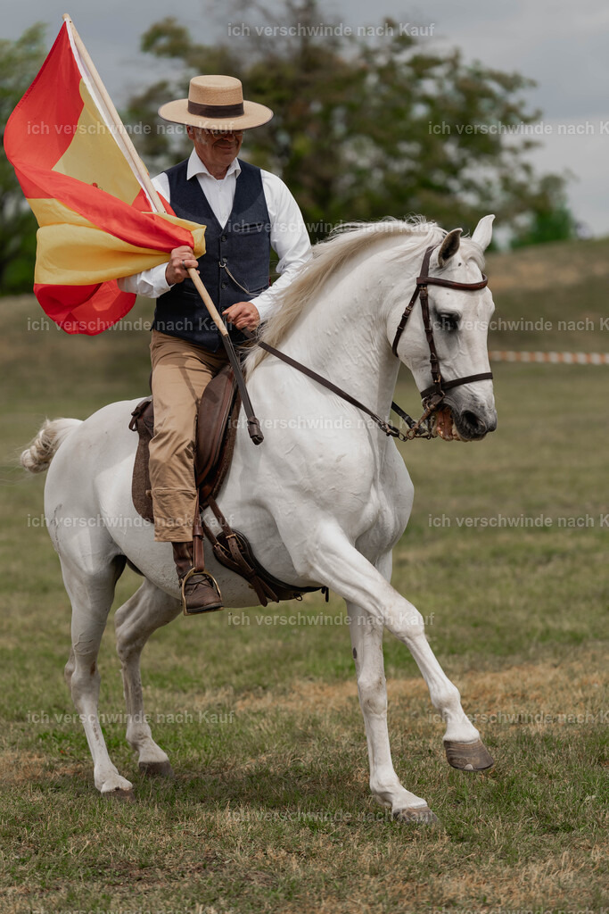 Showprogramm-116 | working equitationturnier fotograf videograf stoibphotography marixx film working equitation deutschland reitsport turnierfotografie eventfotografie equestrian events