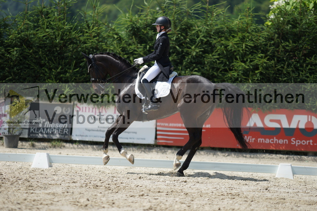 DSC05303 | equestrian-live-com