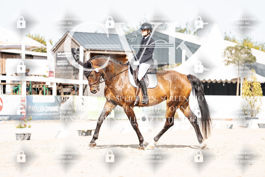 CK905530 | Turnierfotografie Pferdefotografie Trier Rheinland-Pfalz Pferdesport Reitsport Tierfotografie Sportfotografie Pferdevideo Pferdevideografie Equestrianvideography equestrianphotography  - Realisiert mit Pictrs.com