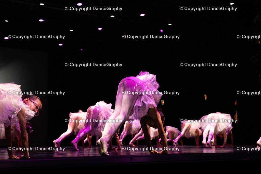 GPHY4435 | DanceGraphy - Realisiert mit Pictrs.com