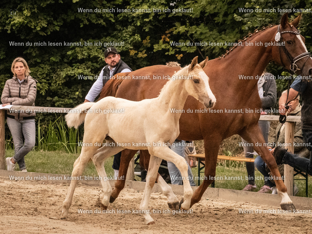 A10I1039 | photographylinaismer - Realisiert mit Pictrs.com