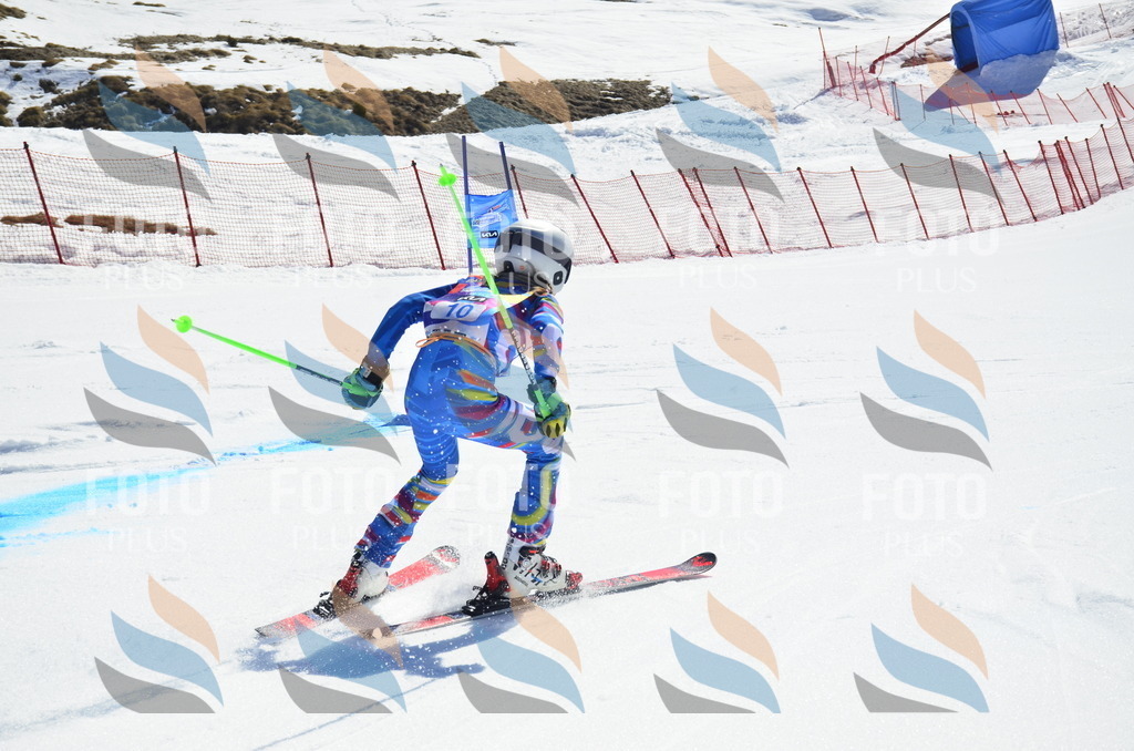 _ELE9782 | holidayphoto