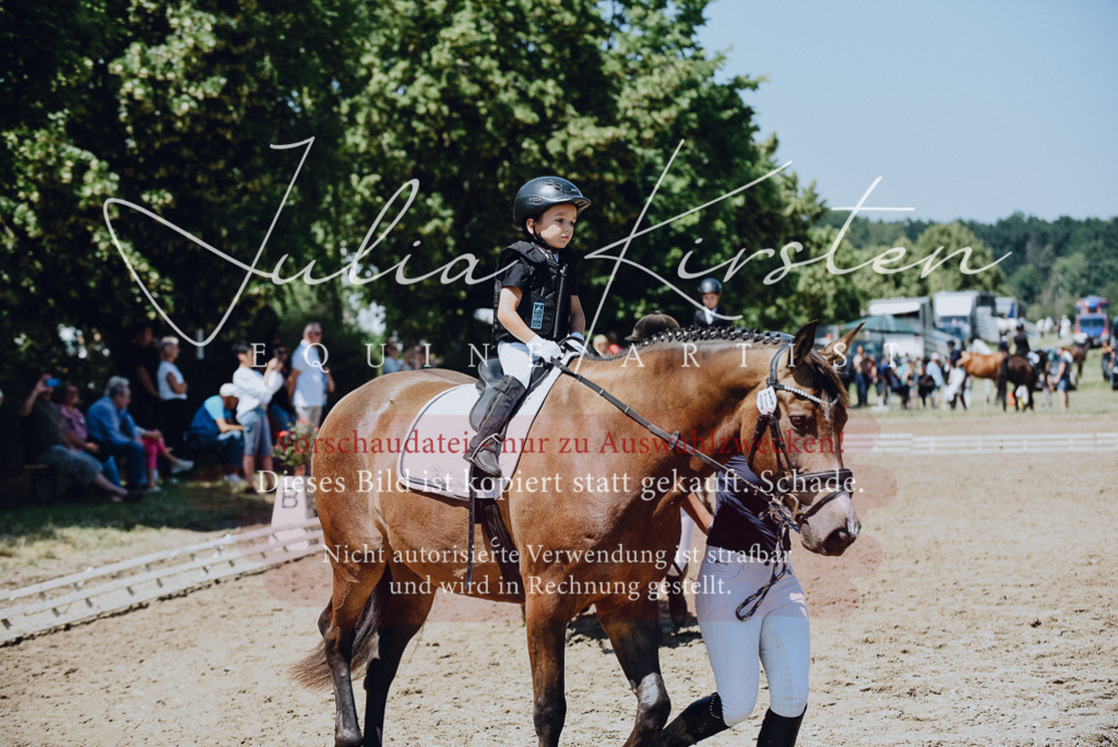 DSC_2445 | Pferde- und Turnierfotografie in Westsachsen. Pferdeportraits, Auftragszeichnungen und intuitive Kunst.