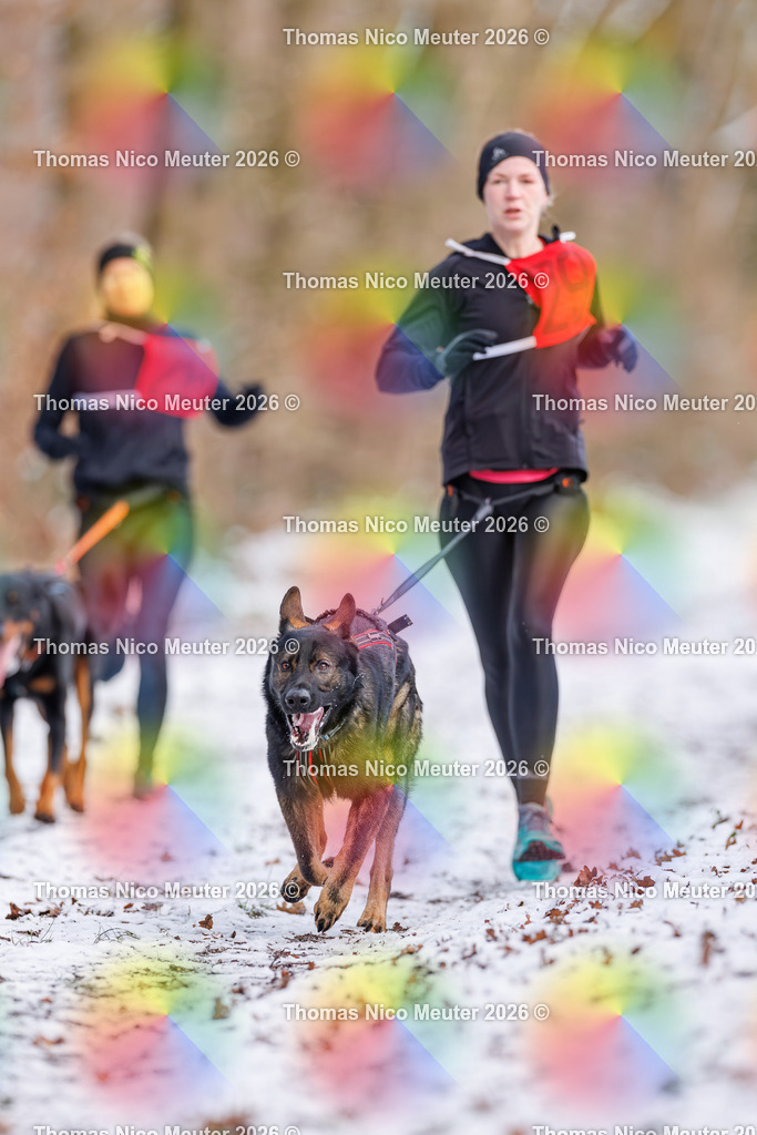 Thomas_Nico_Meuter(C)_223A8519 | Bild von Thomas Nico Meuter - Realisiert mit Pictrs.com