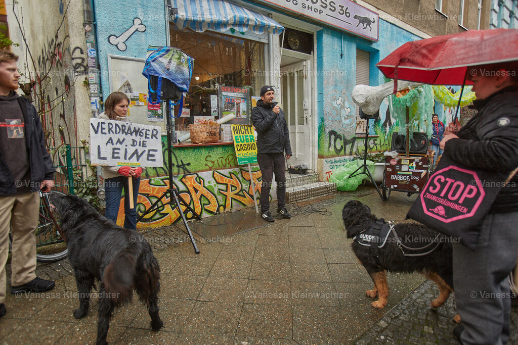 240323_Hundekuss36Bleibt_Hunderunde_03 | Vanessa Kleinwächter - Realisiert mit Pictrs.com