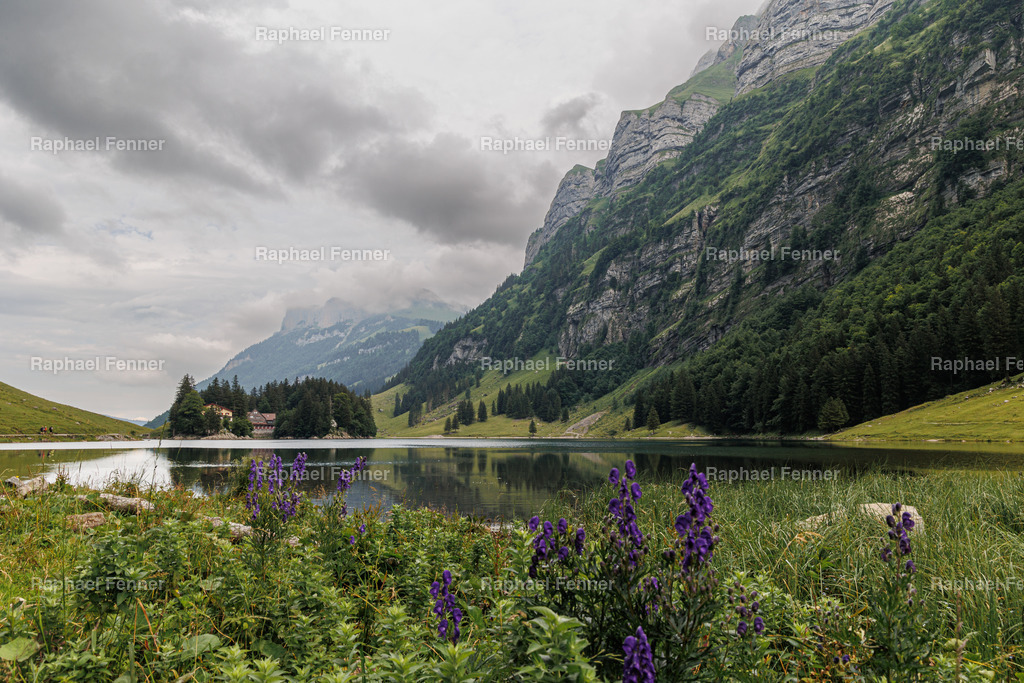 Seealpsee im Kanton Appenzell  | Erlebe eindrucksvolle Landschaftsfotografie aus dem Engadin und darüber hinaus. Raphael Fenner bietet zudem professionelle Fotoaufträge für Hochzeiten, Porträts und Unternehmen. Jetzt entdecken und inspirieren lassen!