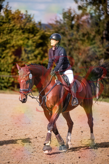 2026_10_03_Siefer-Hof_155638_Z81_76481714 | Professionelle Reitsport-, Turnier- und Eventfotografie von Robert Broda. Galerien mit ausgewählten und bearbeiteten Bildern direkt online ansehen und bestellen.