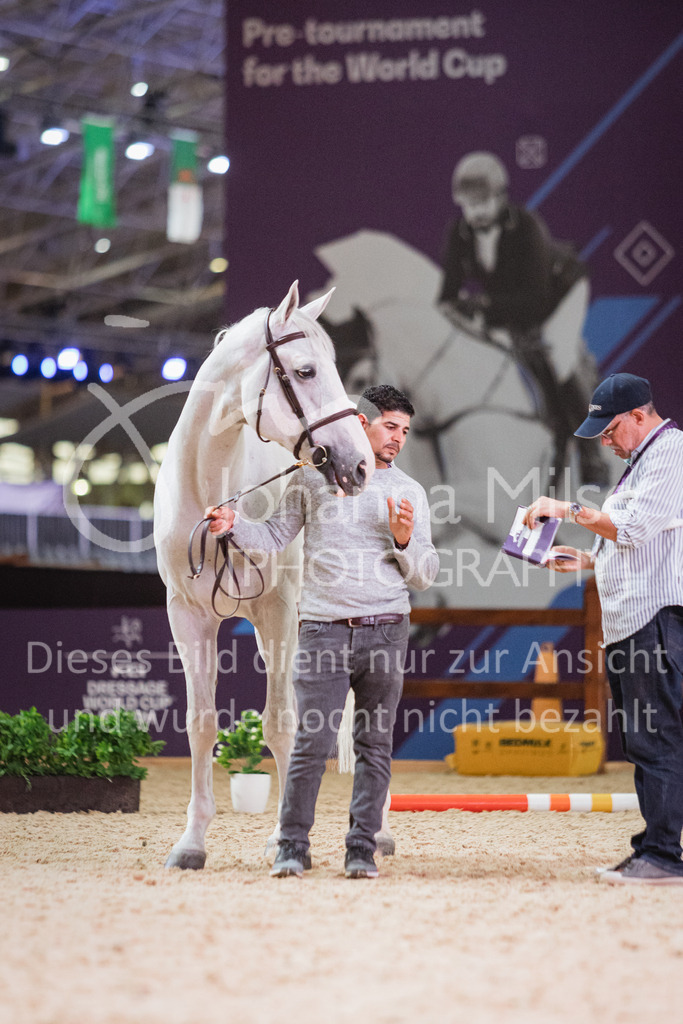 230215_Riyadh_Vet-Check-127 | Deine schönsten Turniermomente als professionelle Fotos! Entdecke hochwertige Pferdesport-Fotografie im Online-Shop. Jetzt Fotos finden & bestellen!