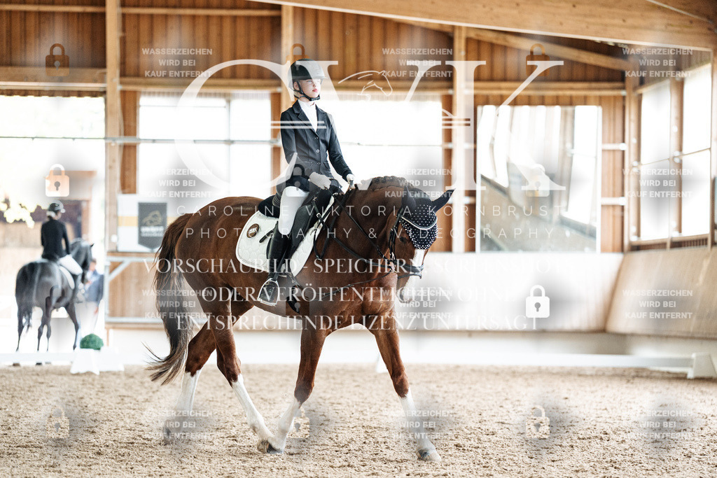 CK900900 | Turnierfotografie Pferdefotografie Trier Rheinland-Pfalz Pferdesport Reitsport Tierfotografie Sportfotografie Pferdevideo Pferdevideografie Equestrianvideography equestrianphotography  - Realisiert mit Pictrs.com