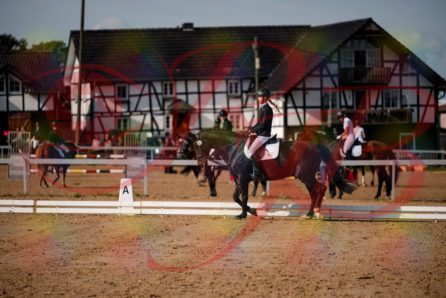 2026_10_03_Siefer-Hof_115453_Z63_30175273 | Professionelle Reitsport-, Turnier- und Eventfotografie von Robert Broda. Galerien mit ausgewählten und bearbeiteten Bildern direkt online ansehen und bestellen.